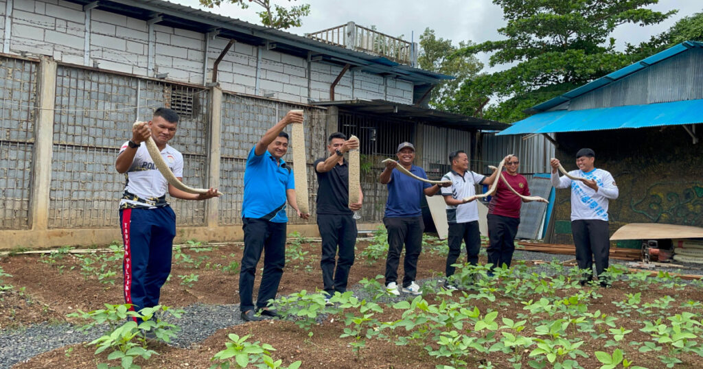 Dorong Produksi Tempe Mandiri, Lapas Narkotika Karang Intan Kelola Lahan Kedelai