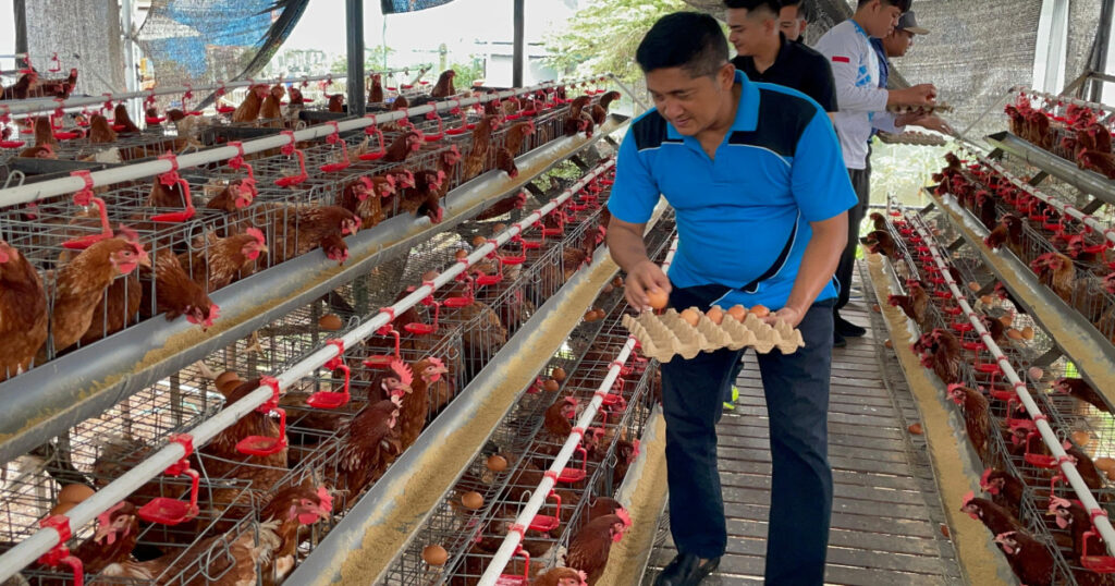 Telur Ayam Hasil Binaan: Kalapas Narkotika Karang Intan Langsung Turun ke Kandang