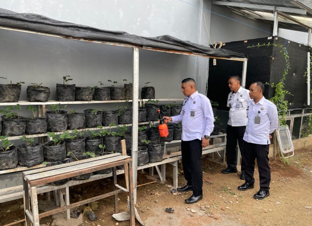 Kalapas Turun Langsung Rawat Stroberi, Tunjukkan Komitmen Terhadap Pembinaan Kemandirian