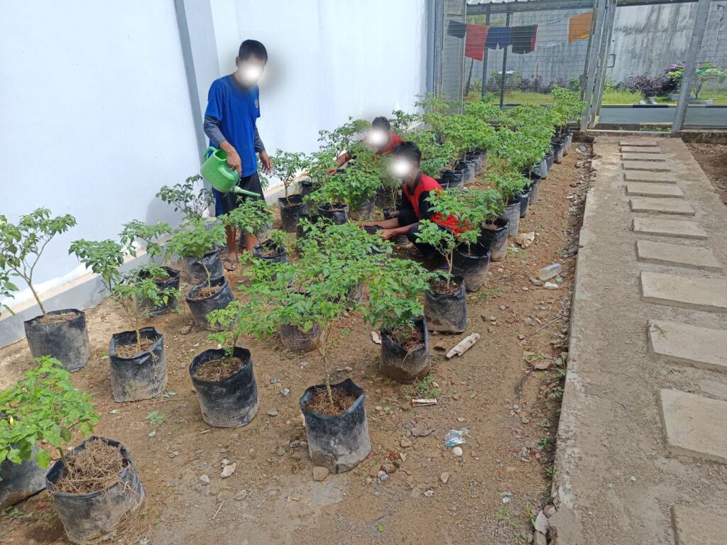 WBP Lapas Narkotika Karang Intan Tanam 250 Bibit Cabai Rawit, Perkuat Program Ketahanan Pangan