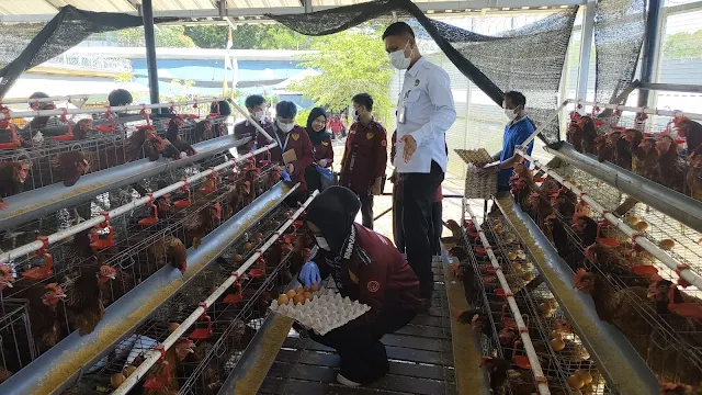 Lapas Narkotika Karang Intan Terima Kunjungan Studi Banding Mahasiswa Hukum, Perkuat Pemahaman Reintegrasi Sosial